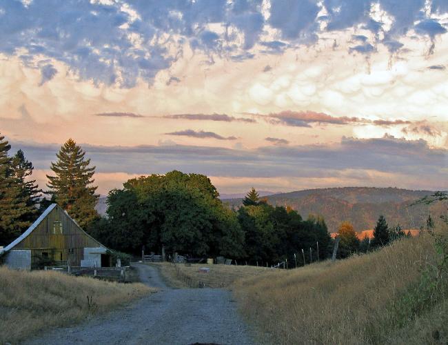 Brian and all 208_edited_edited.jpg